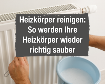 Heizkörper reinigen: So werden Ihre Heizkörper wieder richtig sauber Reinigen, Person