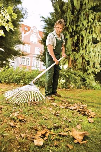 Detailbild 4030399 Laubbesen Arbeits-Breite 450mm Stahl,verzinkt feststehend FLORA