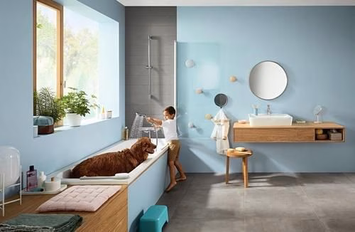 Hansgrohe Handbrause CROMA SELECT E MULTI DN 15 weiß/chrom