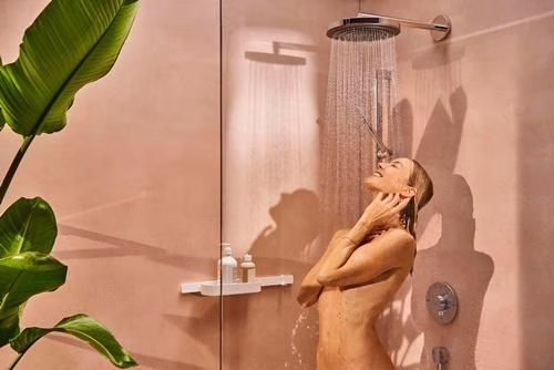 Detailbild 4027876 Hansgrohe Handbrause Pulsify S 1 jet chrom