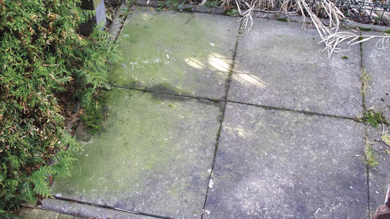 TecLine Grünbelagentferner -Konzentrat- 1 l Flasche Schiefer, Pfad, Gehweg, Bürgersteig, Steinplatte