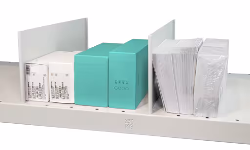 Stecktrennblech freistehend, 600 x 140 mm (T x H), RAL 7035 lichtgrau für MULTIplus250- und MULTIplus330-Fachböden von der Marke Schulte Lagertechnik aus der Produktreihe Fachbodenregale