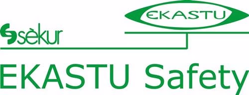 Logo 4077056 Schweißerbrille CARINA KLEIN DESIGN™ 12799 EN 166 1 FT,EN 169,EN 171 PC EKASTU