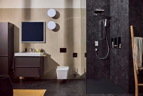 Detailbild 3968576 Hansgrohe Stabhandbrause Pulsify E 1 jet chrom