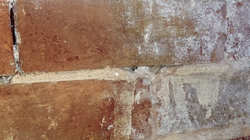 TecLine Premium-Reiniger für Zementschleier/Verkrustungen 1 l Flasche Backstein, Architektur, Gebäude, Mauer