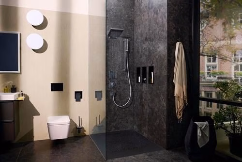 Detailbild 3968584 Hansgrohe Stabhandbrause Pulsify E 1 jet chrom