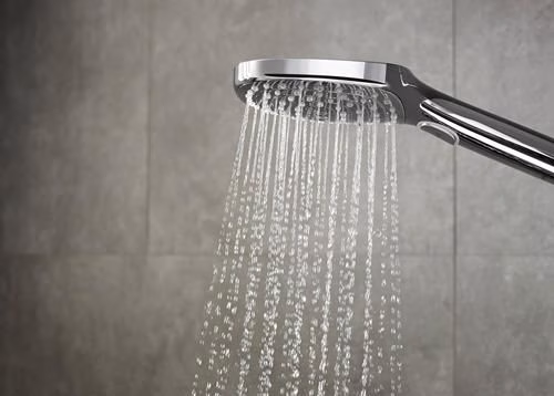 Handbrause RAINDANCE SELECT E 120 3jet DN 15 EcoSmart chrom