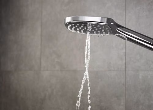 Handbrause RAINDANCE SELECT E 120 3jet DN 15 EcoSmart chrom