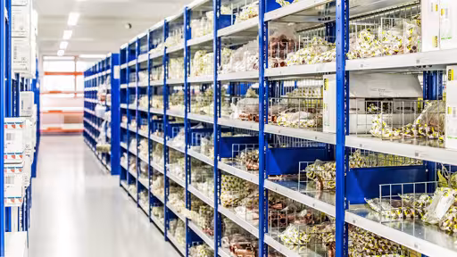 Draht-Steckgitter, 300 x 140 mm (T x H), glanzverzinkt für MULTIplus150-Fachböden aus der Kategorie Kleinteilelagerung mit der GTIN 4004514278845 Draht-Steckgitter, 300 x 140 mm (T x H), glanzverzinkt für MULTIplus150-Fachböden von der Marke Schulte Lagertechnik aus der Produktreihe Fachbodenregale