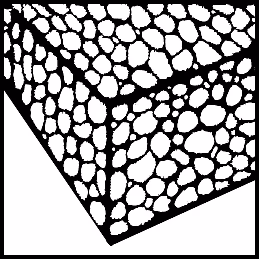 Säbelsägeblatt PU300W 300 mm VE3 aus der Kategorie Säbelsägeblatt mit der GTIN 4000146643075 Säbelsägeblatt PU300W 300 mm VE3 von der Marke PROJAHN aus der Produktreihe Sägeblätter