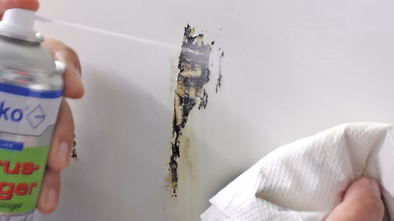 TecLine Citrusreiniger 400 ml Spezialreiniger Person